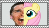 flutterbat